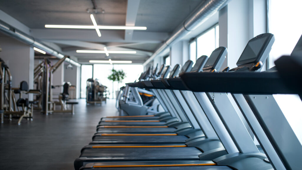 Row of treadmills in a bright, modern gym with large windows and clean design.